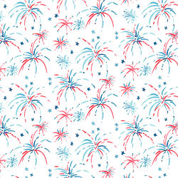 Fireworks in White