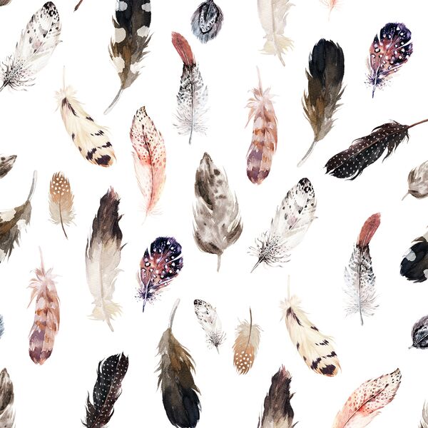 Falling Feathers in White