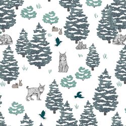 Northern Forest in Juniper