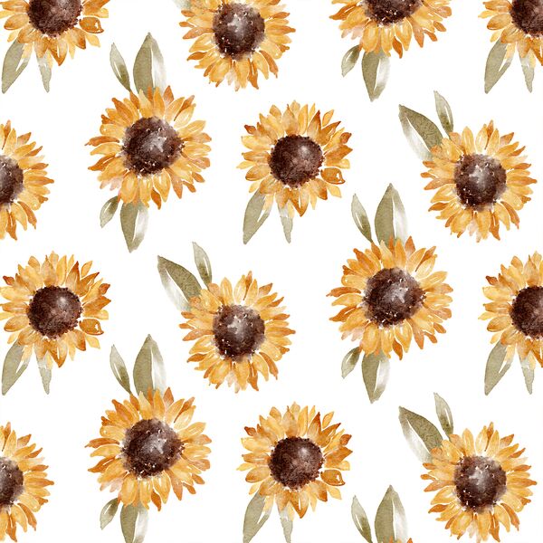 Sunflower in Autumn