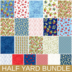Patchwork Picnic Half Yard Bundle