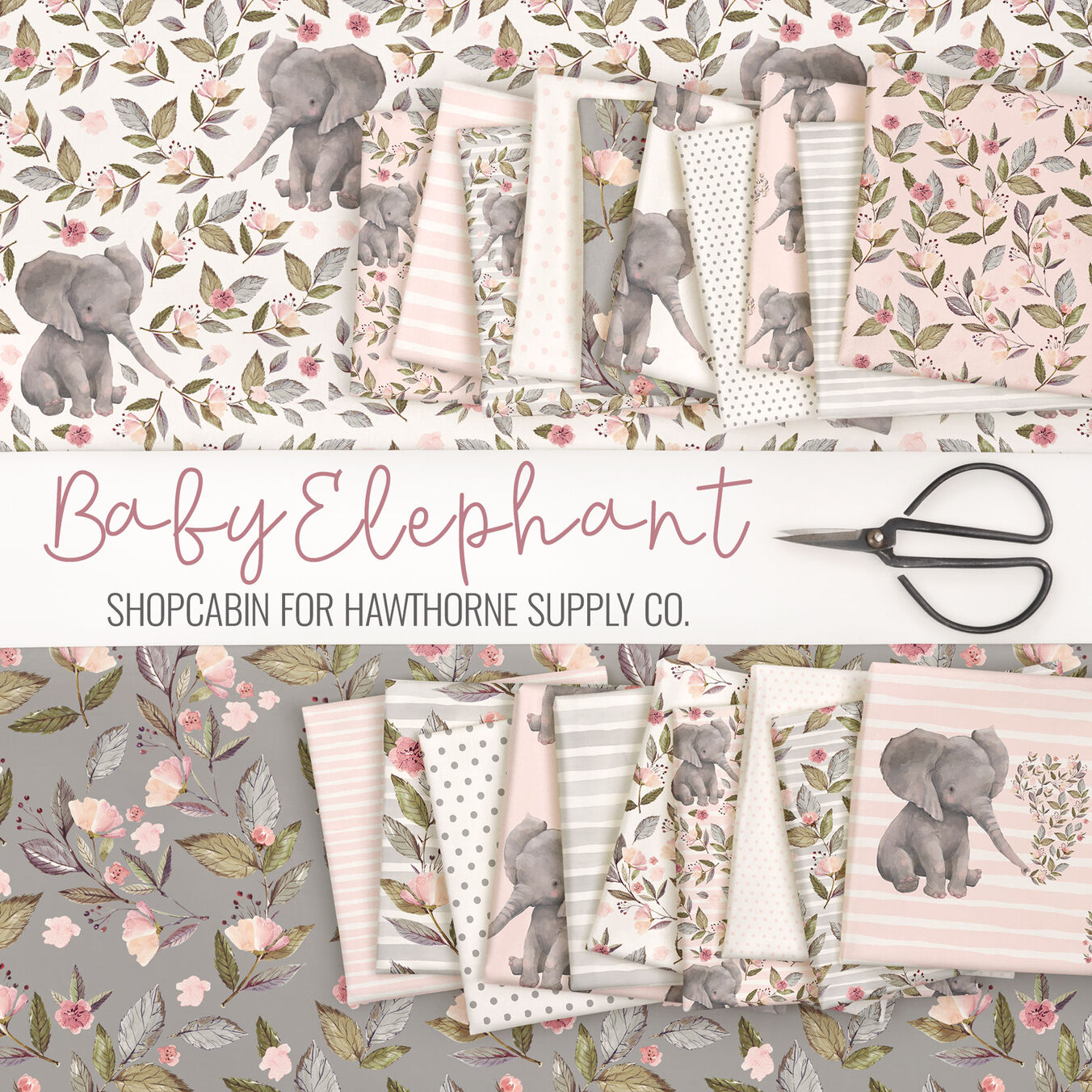Baby Elephant Poster Image