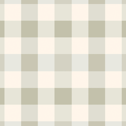 Large Gingham in Summer Sage