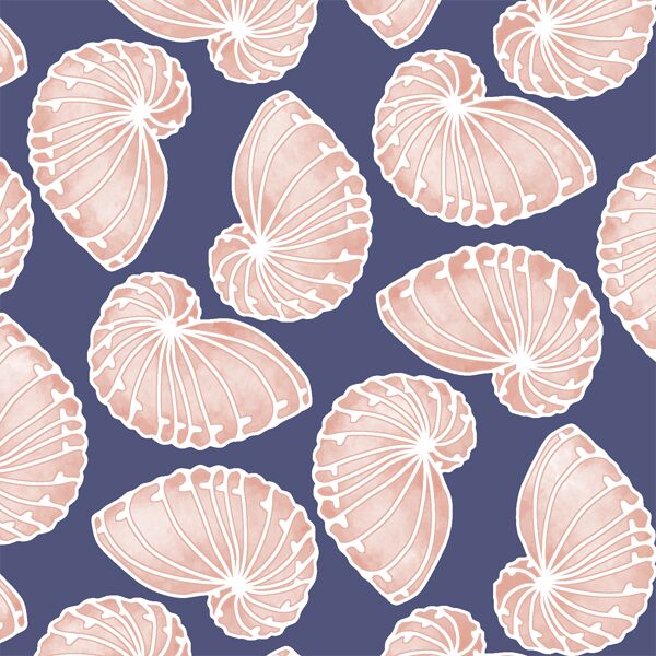 Nautilus Nocturne in Indigo
