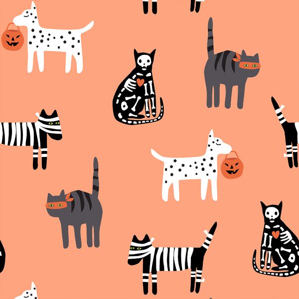 Halloween Pets in Orange Glow
