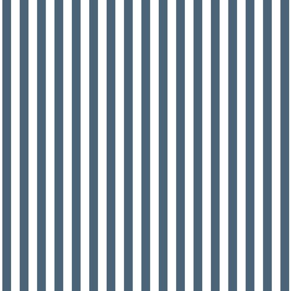 Dress Stripe in Twilight