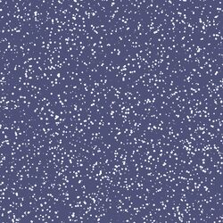 Stardust in Indigo