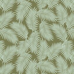 Scattered Palms in Aloe