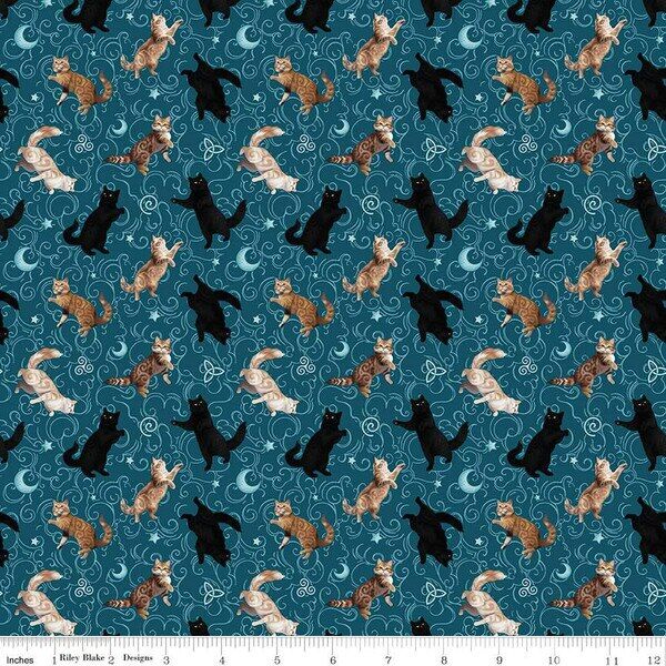 Cats in Teal
