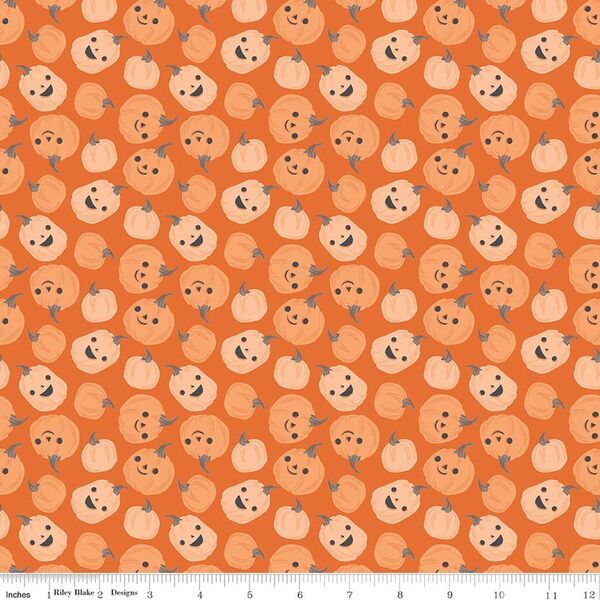 Pumpkins in Orange