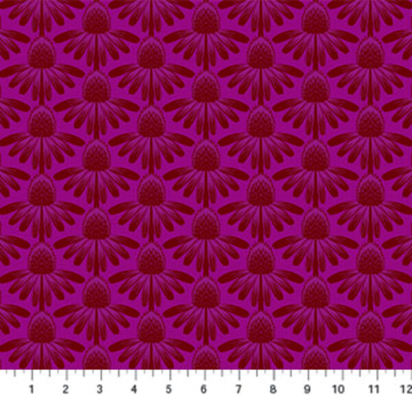 Coneflower in Magenta