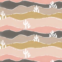 Basin and Range in Coachella