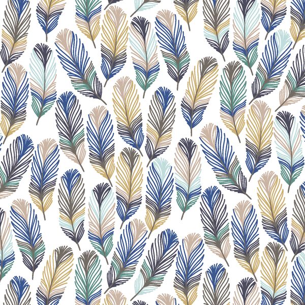 Feathers in Palm Springs Oasis