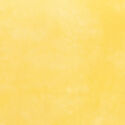 Palette in Little Yellow