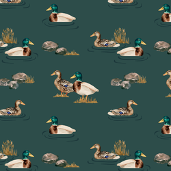 Waterfowl in Teal