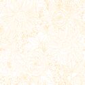 Paperie in Creamsicle on White