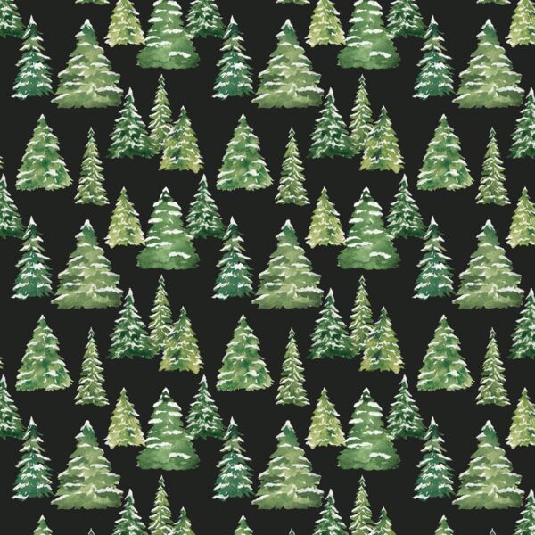Little Pine Forest in Midnight