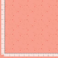 Kitty Litter Blender in Salmon