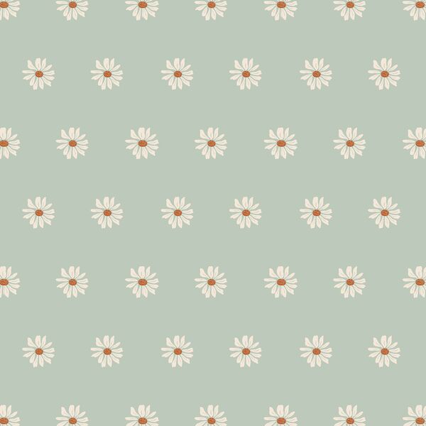 Wild Daisy in Sage