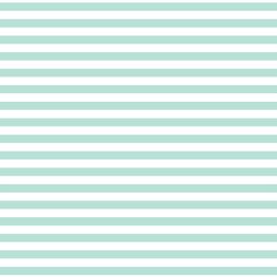 Horizontal Dress Stripe in Aloe