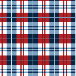 Plaid in Freedom