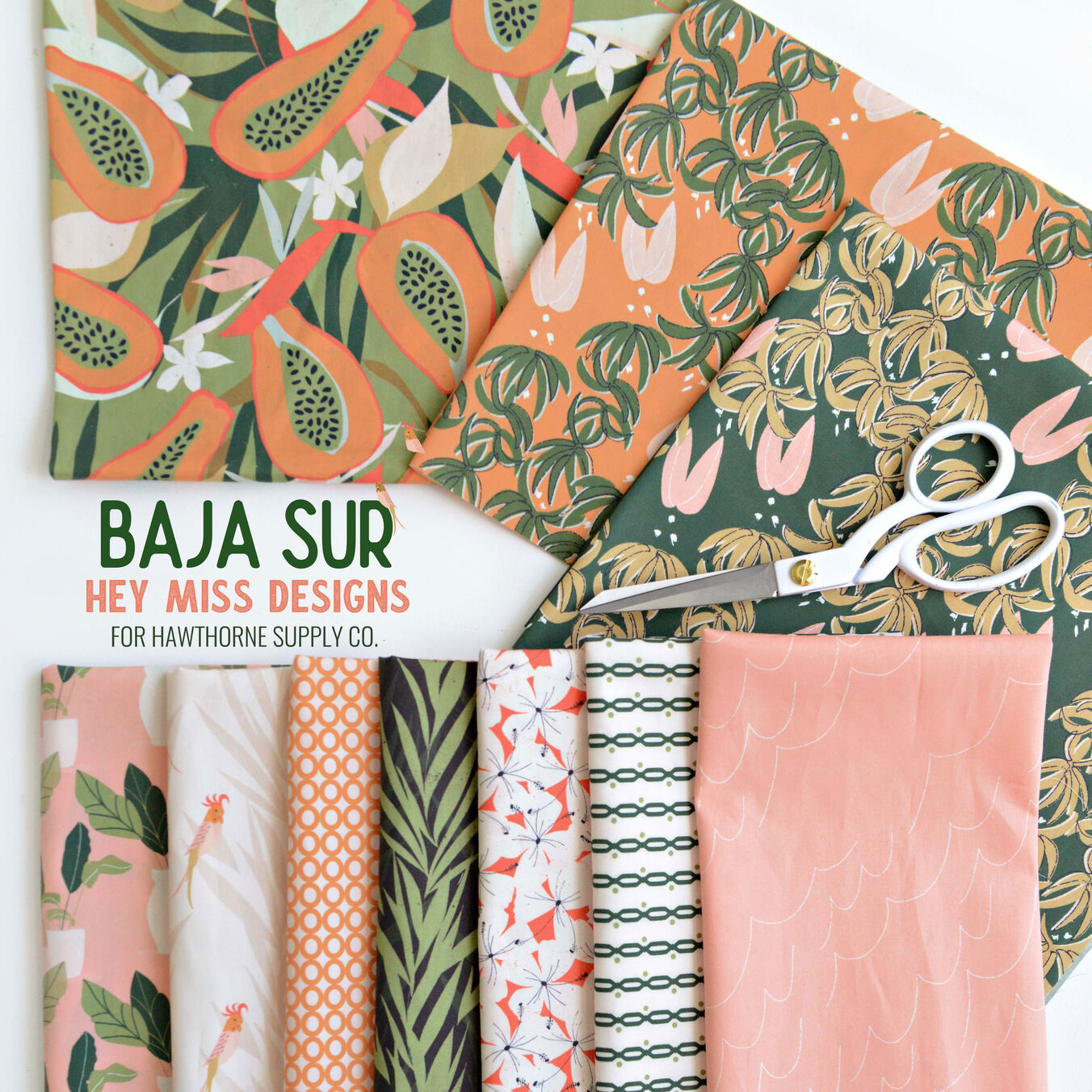 Baja Sur Poster Image