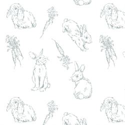 Cottontail Corner in Spring