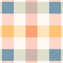 Multi Gingham in Vintage