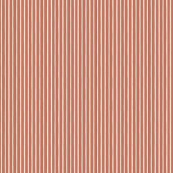 Little Stripe in Candy Cane