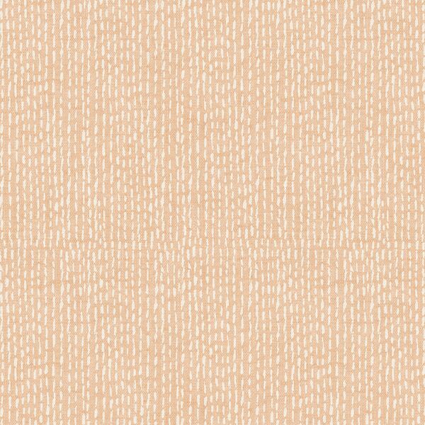 Dash in Coral