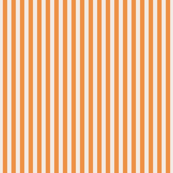 Umbrella Stripe in Tangerine