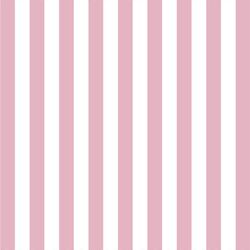 Candy Stripe in Carnation