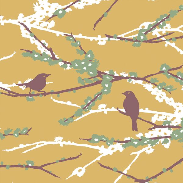 Aviary Sparrows in Sunlight
