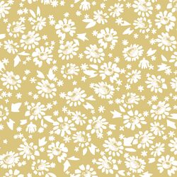 Daisies in Honey