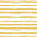 Festive Stripe in Yellow