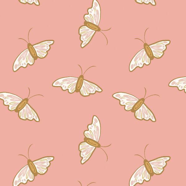 Butterflies in Daisy