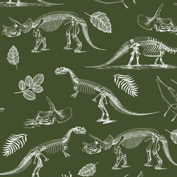 Fossils in Olive Green