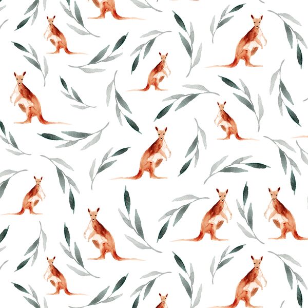 Kangaroos in White