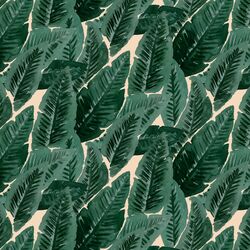 Lush Leaves in Summer Haze