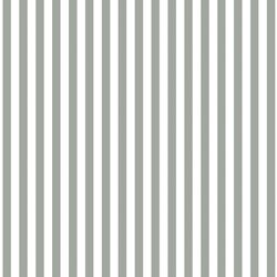 Dress Stripe in Sage