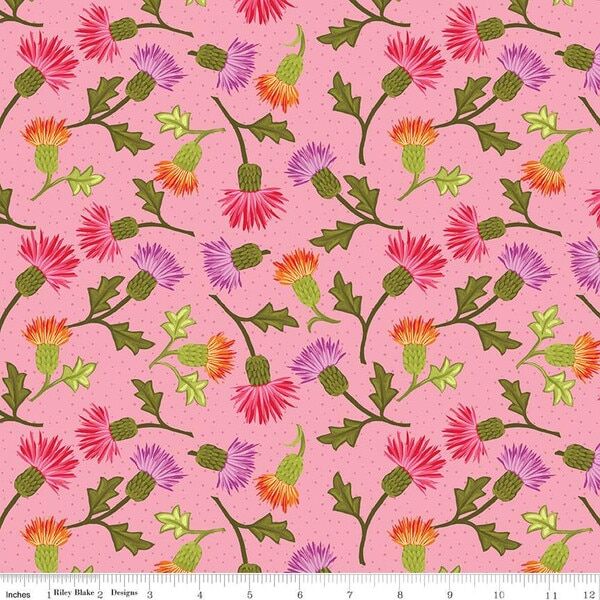 Thistles in Pink