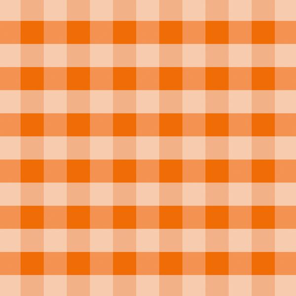 Spring Gingham in Poppy