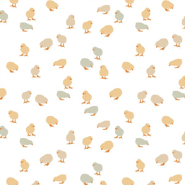 Chicks in Buttercup