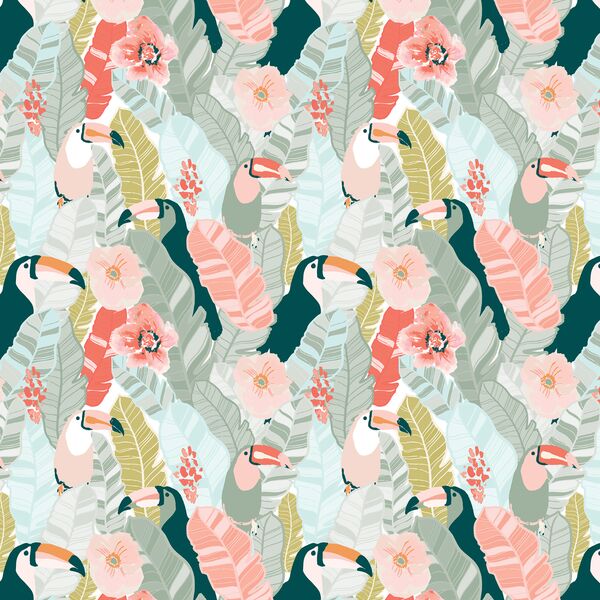 Little Jungle Toucans in Paradise