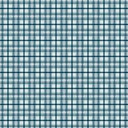 Plaid in Blue