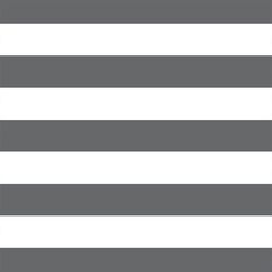 Horizontal Play Stripe in Charcoal