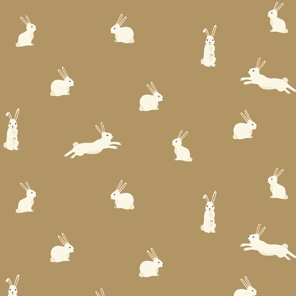 Bunny Rabbits in Prairie