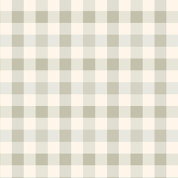 Gingham in Summer Sage