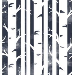 Big Birches in Eclipse