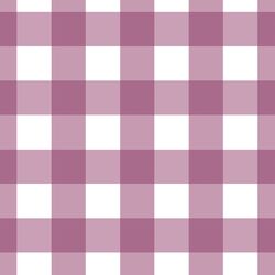 Large Gingham in Raspberry Sherbet